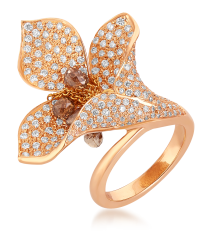 RA_Ring RA_Ring